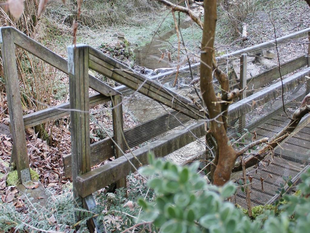 Pension Gluecklich Horgenzell エクステリア 写真
